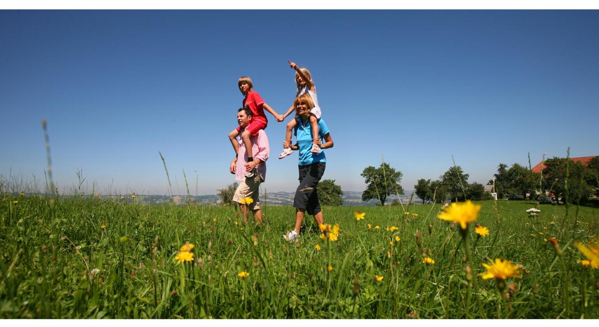 Gasthof-Pension Zum Haugstein - Familie Eder エンゲルハートシュツェル エクステリア 写真